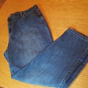 Gloria Vanderbilt Amanda jeans sz 20w